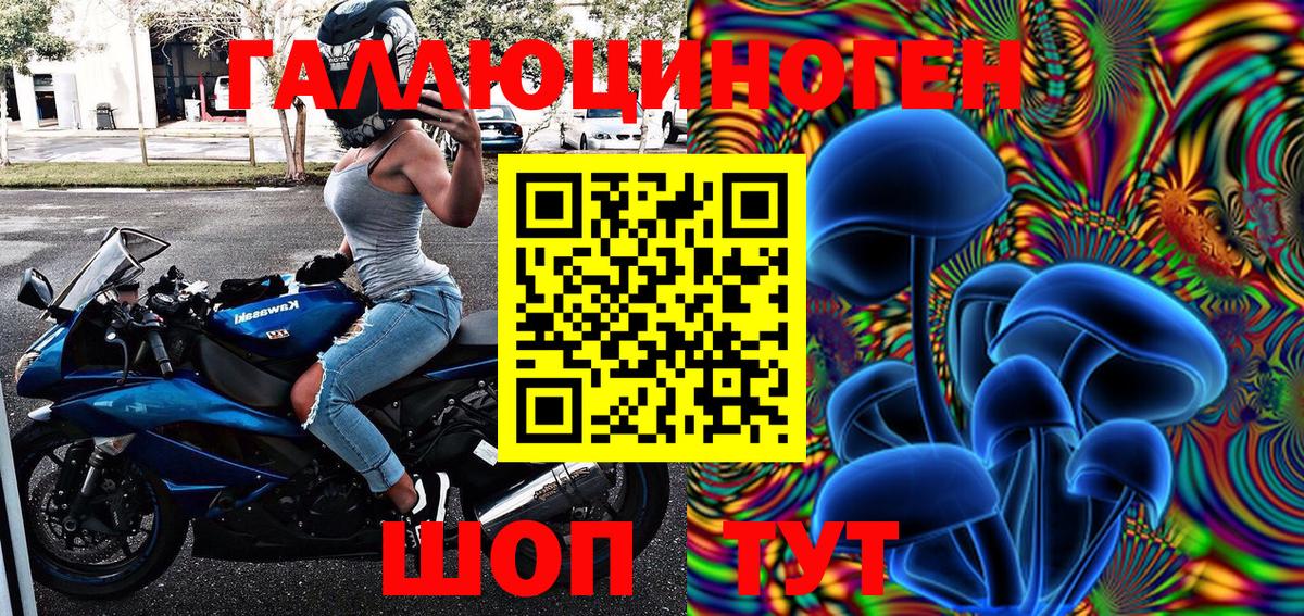 закладки  Галлюциногенные грибы MAGIC MUSHROOMS  Псилоцибиновые грибы Psilocybe  Вход с VPN  Тосно 